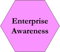 Principle-Enterprise-Awareness