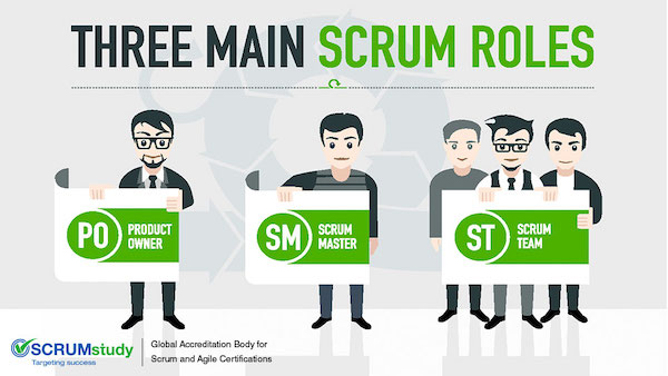 Scrum-roles